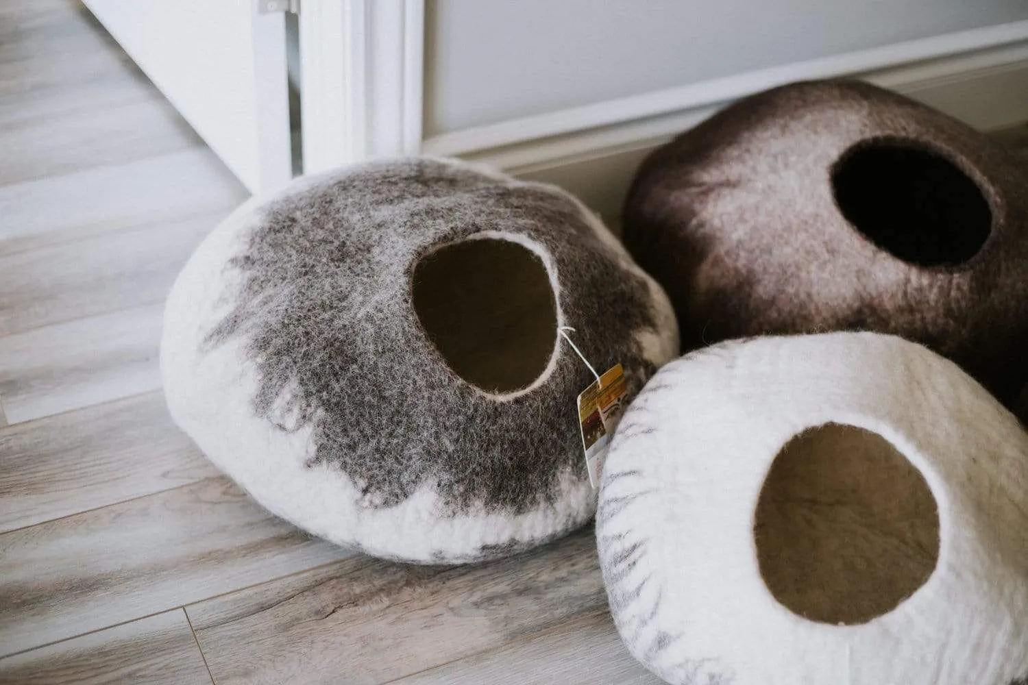 Himalayan Cat Cave