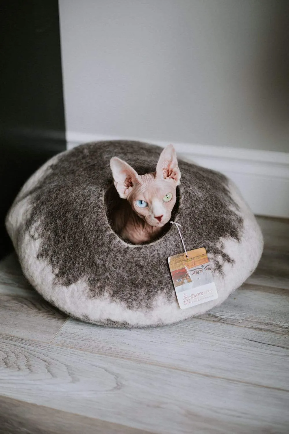 Himalayan Cat Cave