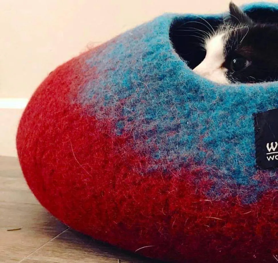 Maroon & Teal Cat Cave