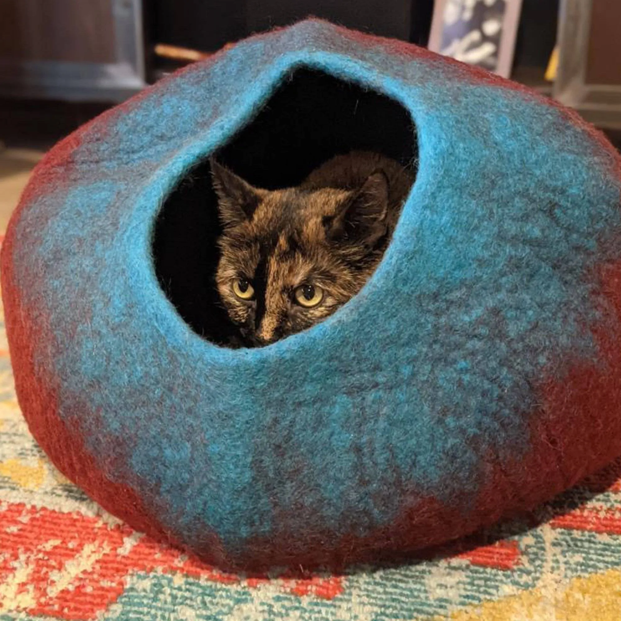 Maroon & Teal Cat Cave