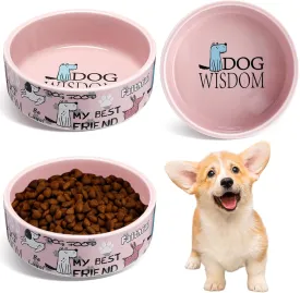 Maxcheck 2 Pcs 5 Inch Ceramic Dog Bowls Dishes for Small Dogs Cute Cartoon Pattern Puppy Cat Bowls Heavy Food Water Dishes for Pets Feeding Travel, Dishwasher Safe Microwave Safe(Pink)