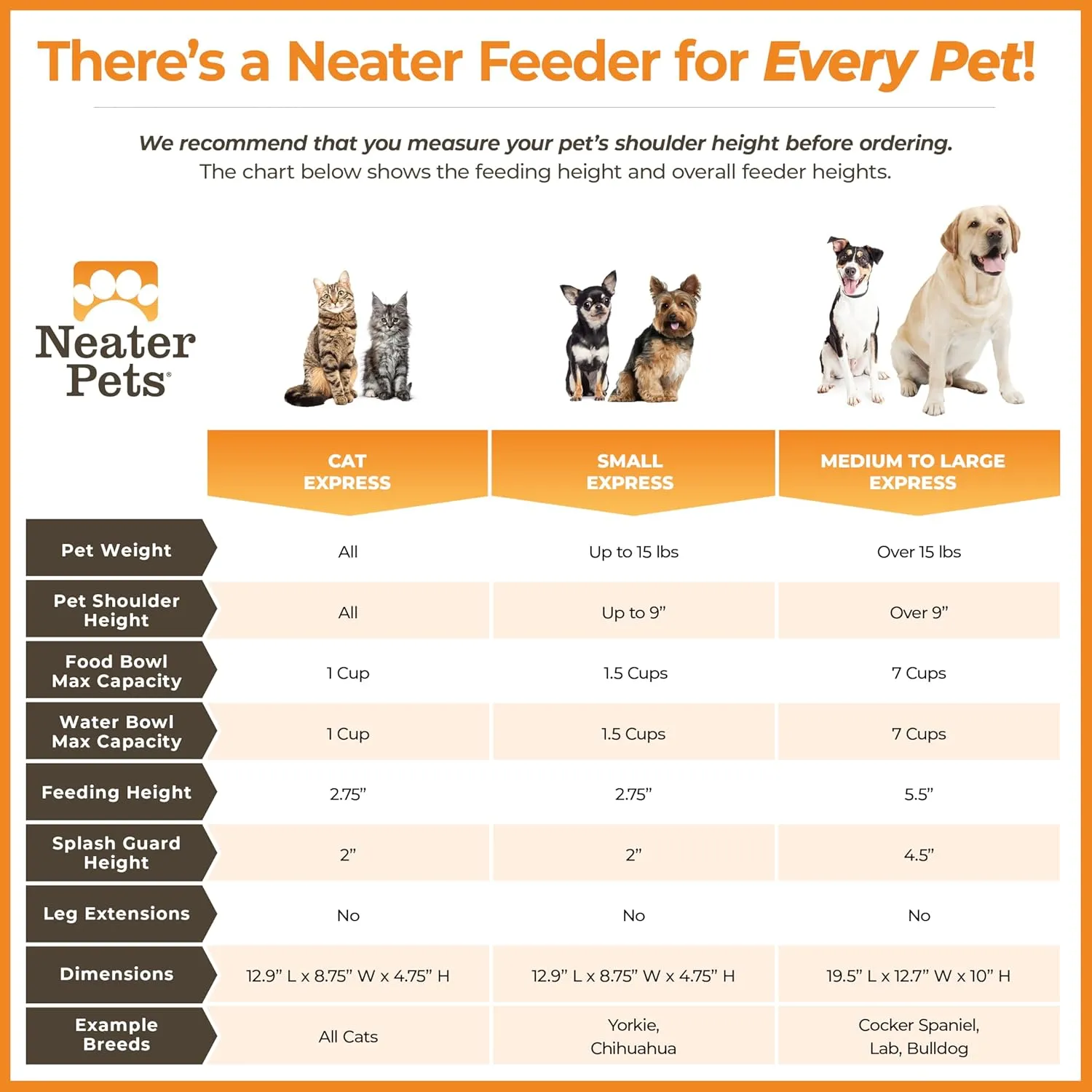 Neater Feeder Express Mess Proof Dog Bowls Elevated for Small Breeds Under 15 Lb, Made in USA, No Spill Raised Dog Food Bowl Stand, Stainless Steel Food and Water Bowl Set, Feeding Station, Grey
