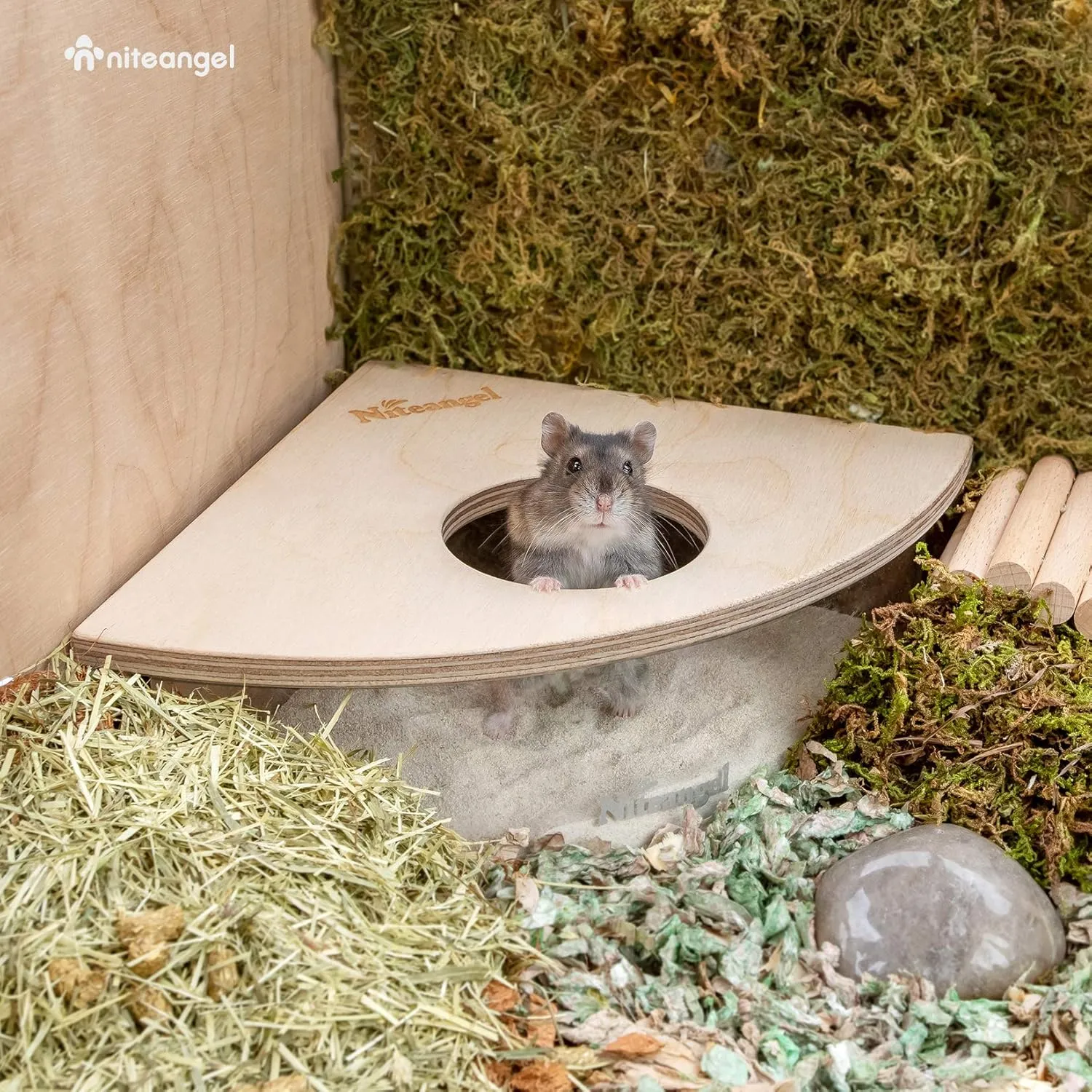 Niteangel Animal Sand-Bath Box: - Acrylic Critter's Sand Bath Shower Room & Digging Sand Container for Hamsters Mice Lemming Gerbils or Other Small Pets (Triangle, Birch-Wood)