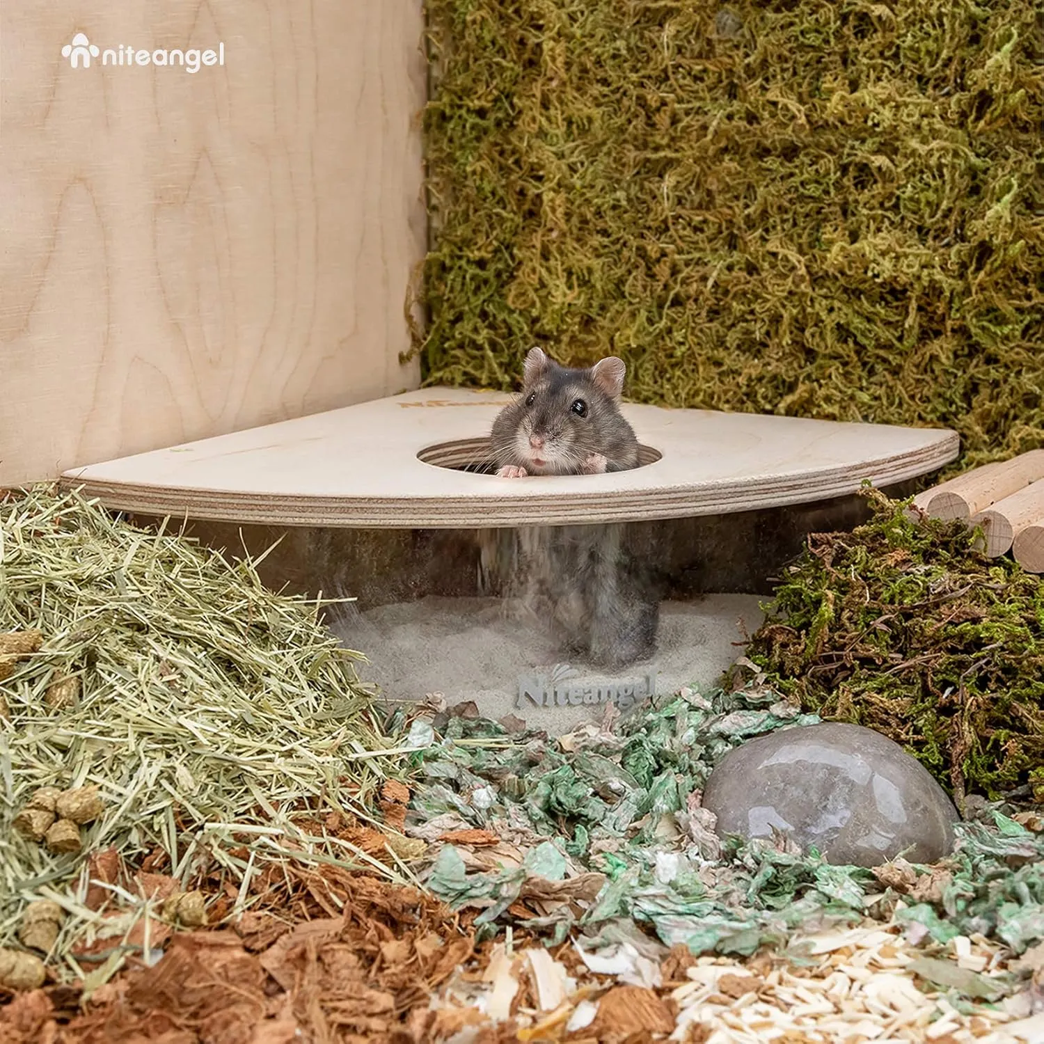 Niteangel Animal Sand-Bath Box: - Acrylic Critter's Sand Bath Shower Room & Digging Sand Container for Hamsters Mice Lemming Gerbils or Other Small Pets (Triangle, Birch-Wood)