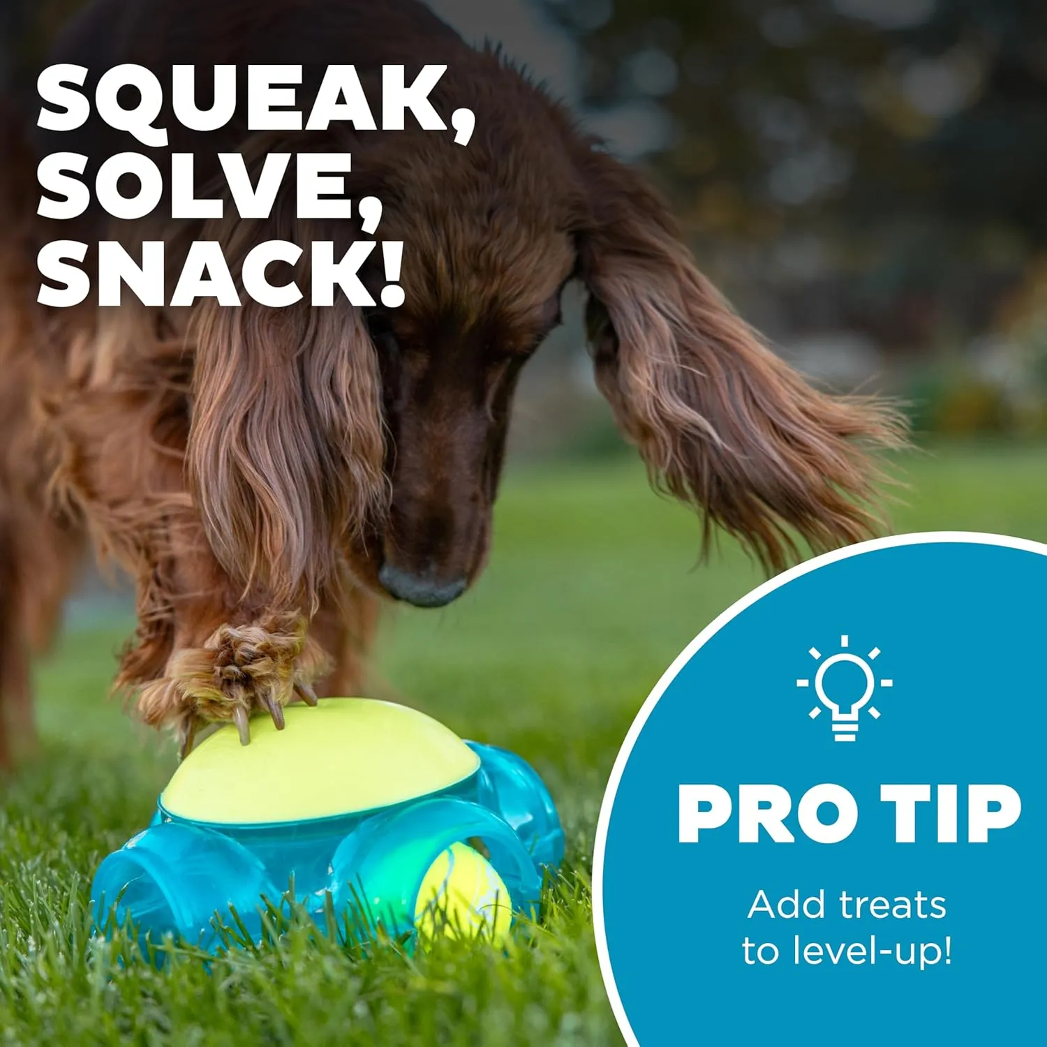 Outward Hound Tennis Maze Craze Interactive Squeaky Dog Toy, Blue
