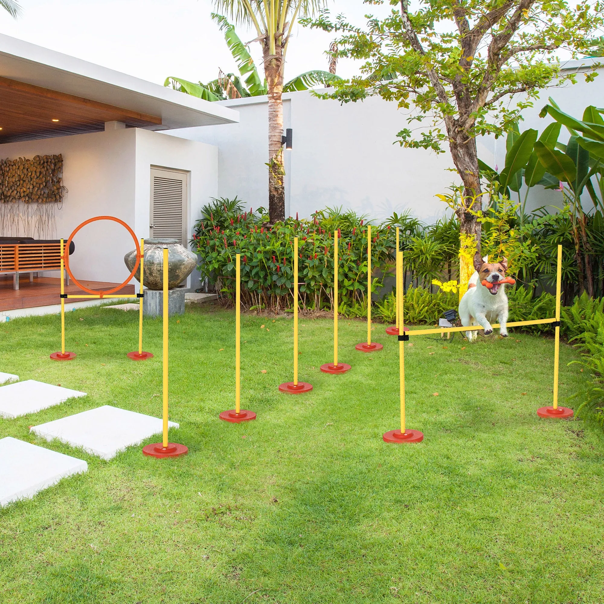 PawHut Outdoor 3 PC Dog Pet Agility Training Garden Starter Obstacle Set for Dog