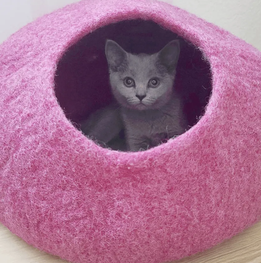 Rose Pink Cat Cave