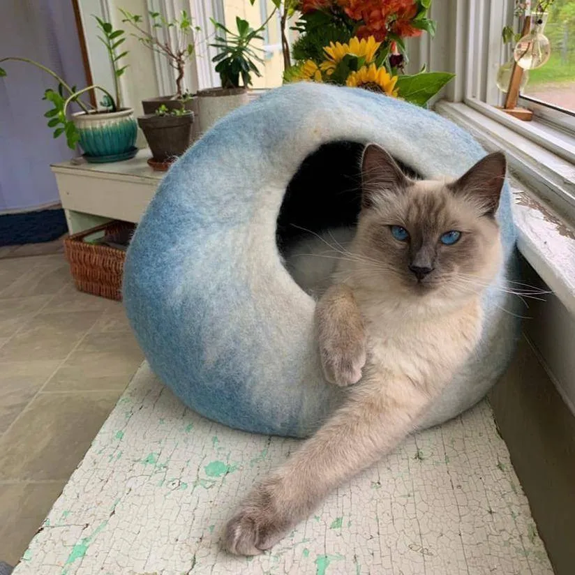Sky Blue & White Cat Cave