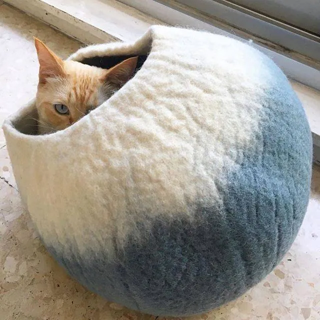 Sky Blue & White Cat Cave