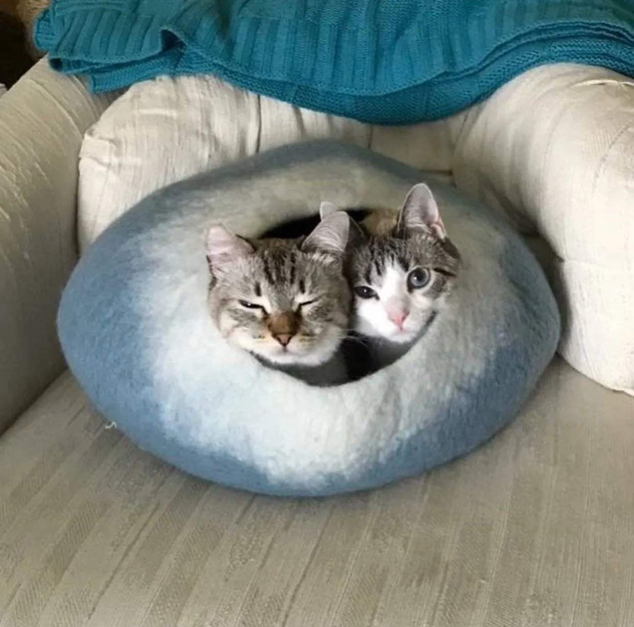Sky Blue & White Cat Cave