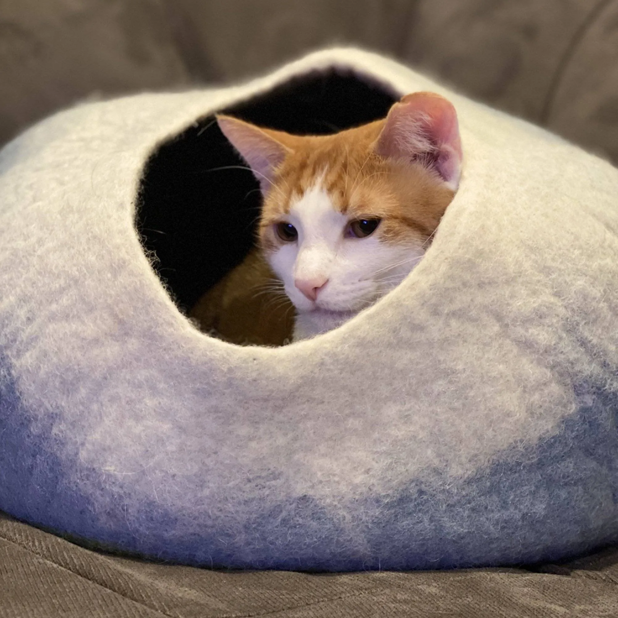 Sky Blue & White Cat Cave