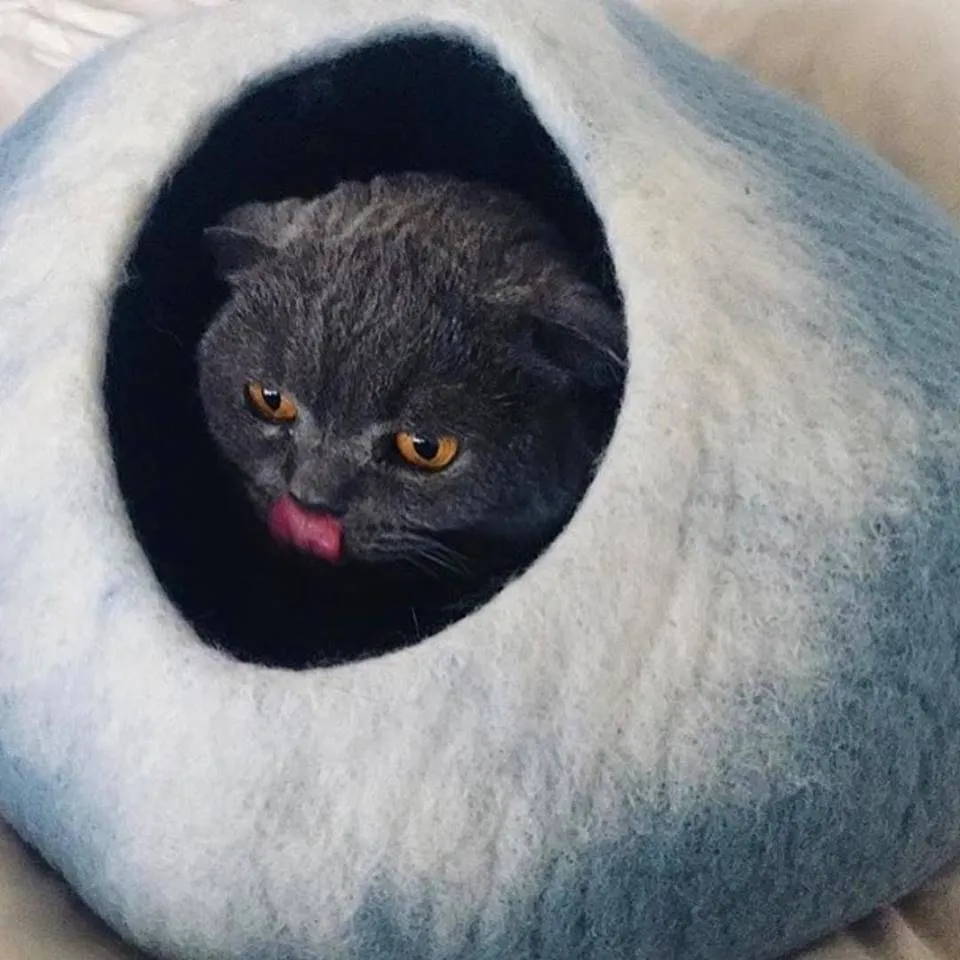 Sky Blue & White Cat Cave
