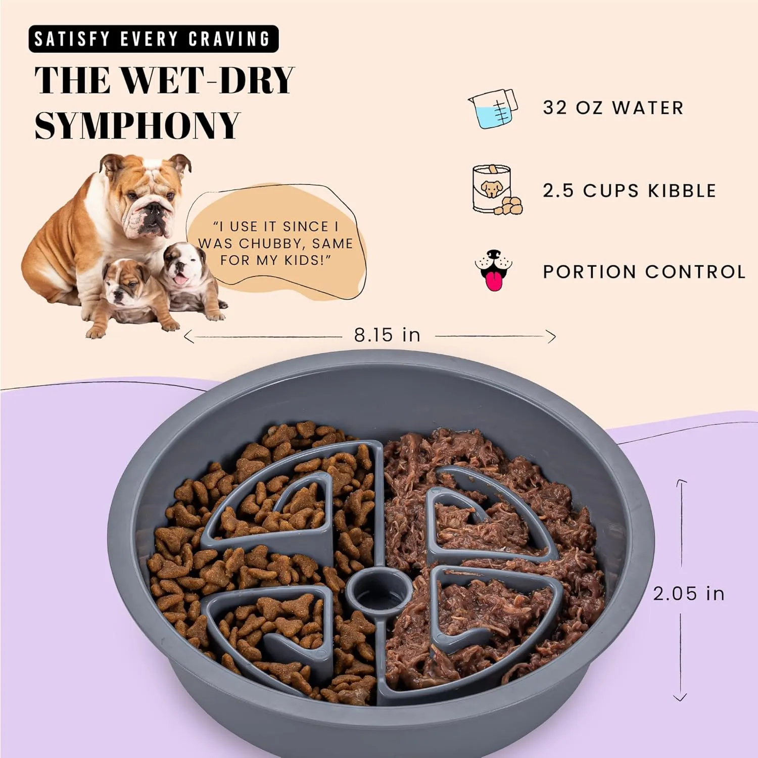 Slow Feeder Dog Bowls for Large Breeds Fits Raised Feeding Station, Puzzle Dog Food Bowls to Slow Down Eating, Dogs Feeding Bowl with Non-Slip, Slows Feeder Pet Bowl for Wet and Dry Food