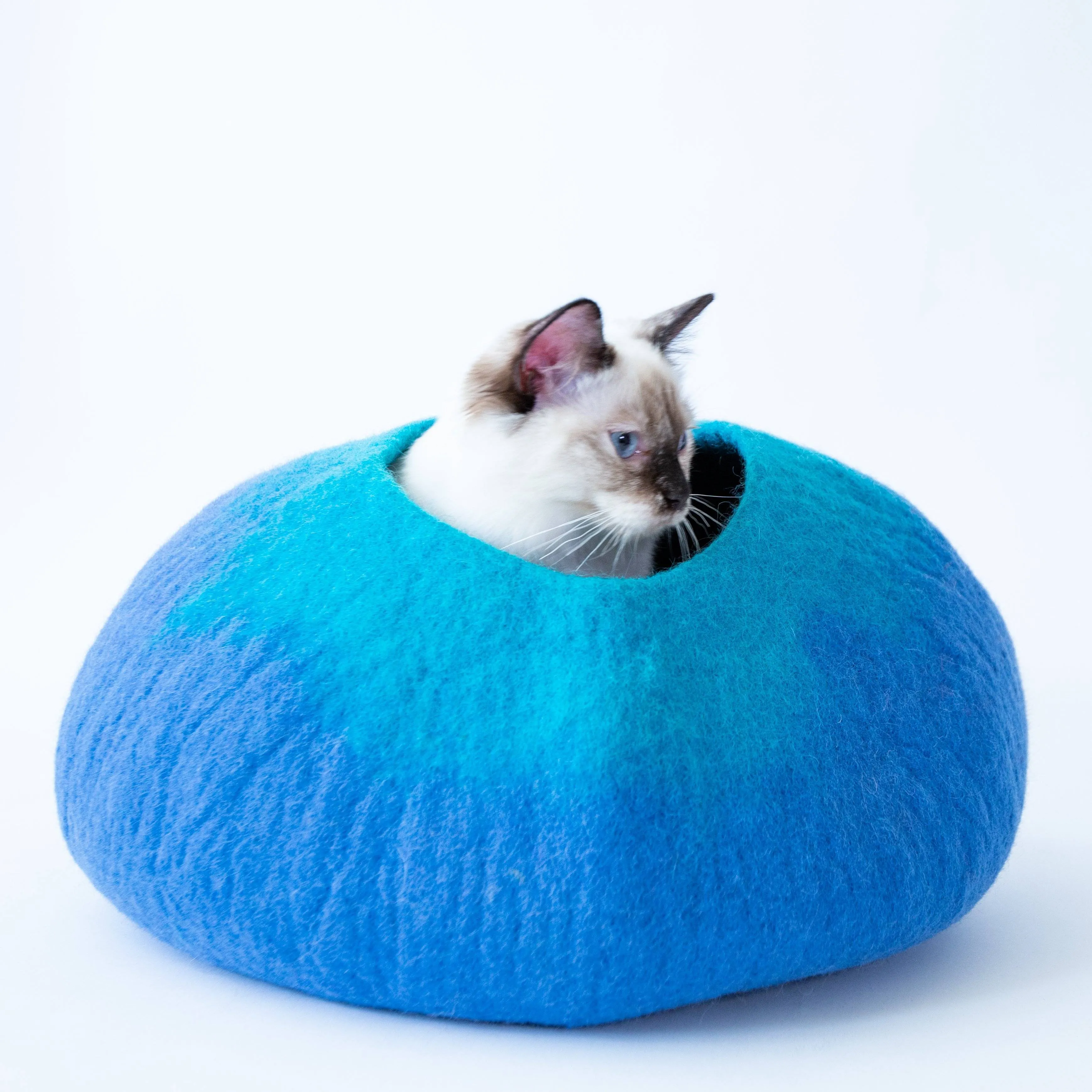 Test Product - 2