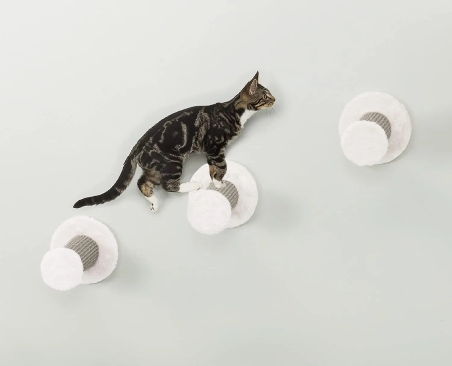 TRIXIE Wall Mount Cat Climbing Steps, Cat Furniture, Scratching Post, 3pcs, Gray