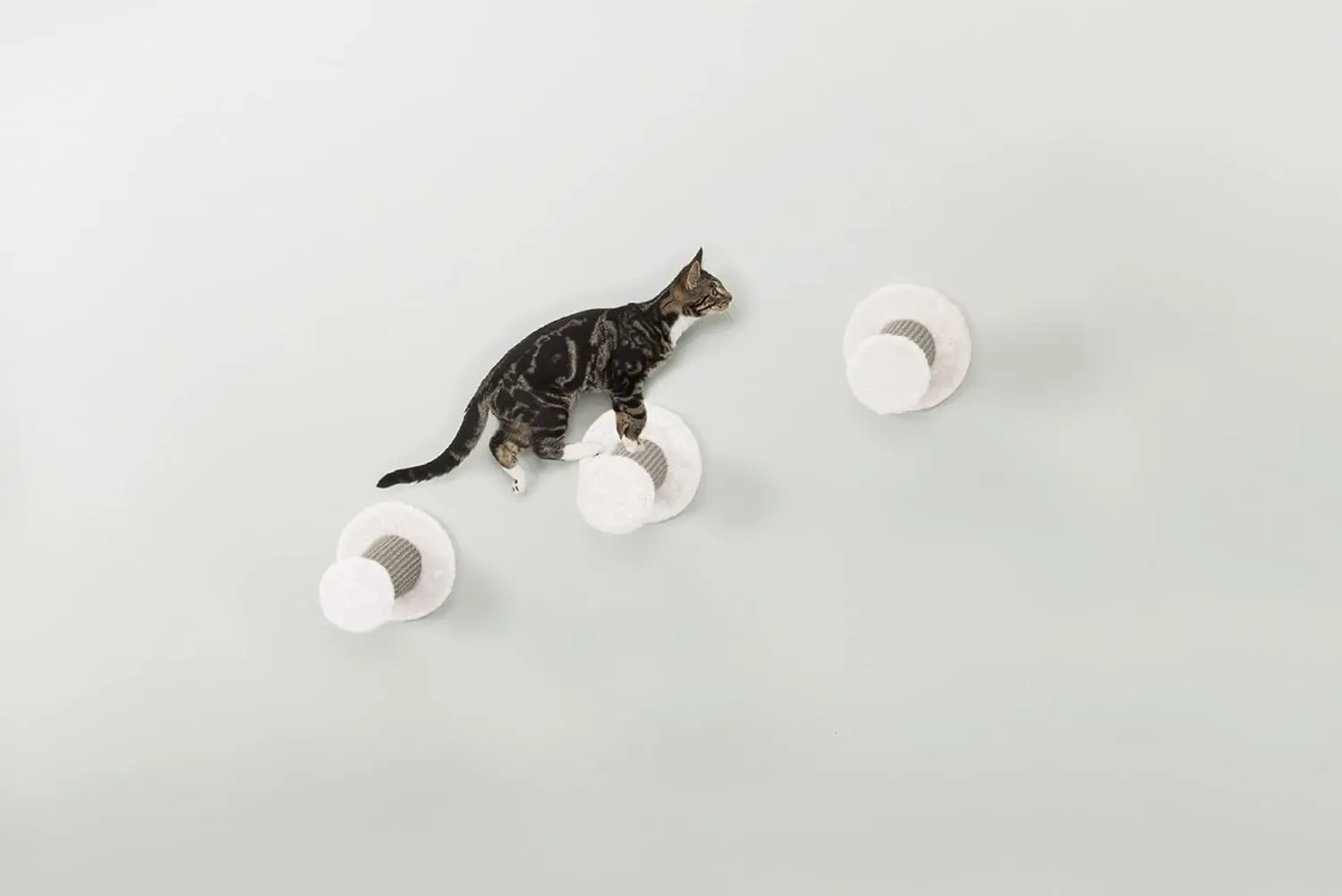 TRIXIE Wall Mount Cat Climbing Steps, Cat Furniture, Scratching Post, 3pcs, Gray