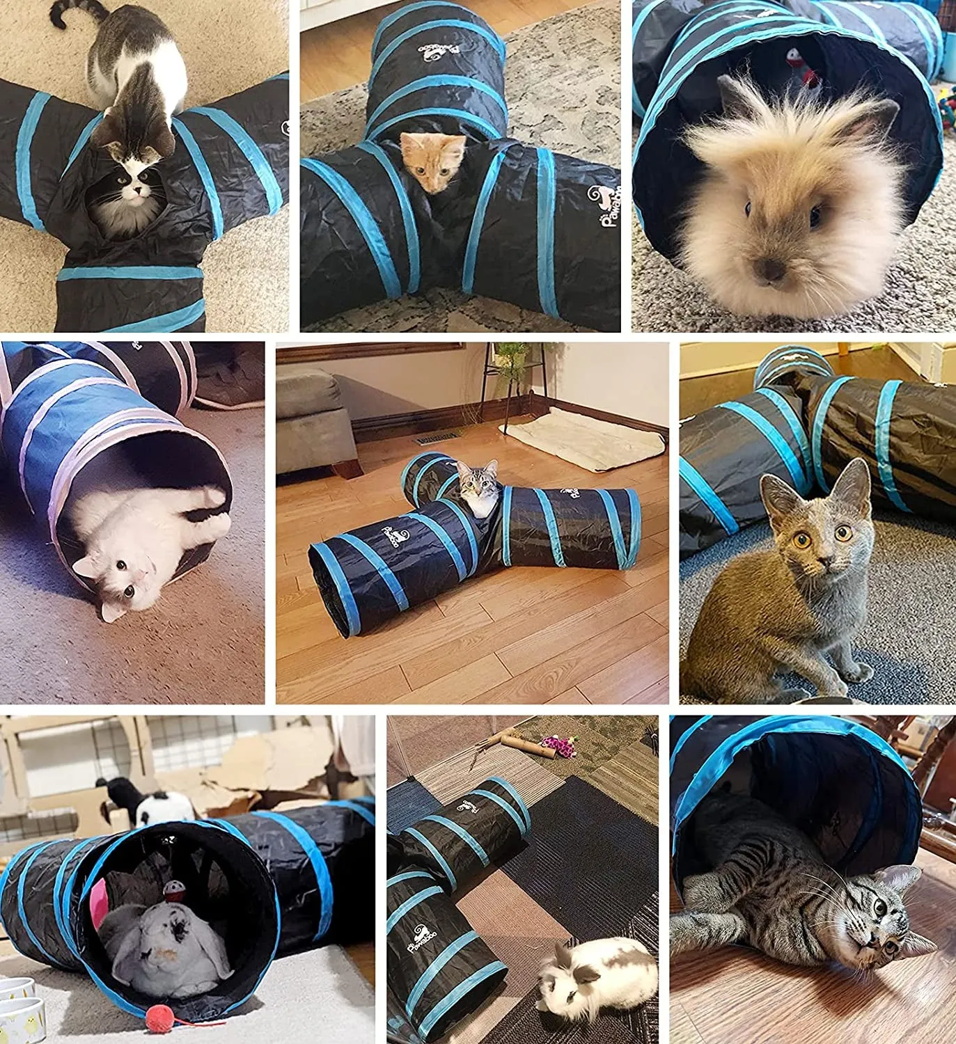 Upgraded 3-Way Cat Tunnel - Meet Tunnel Explorer! 🌟🐾
