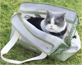 Yakuss Cat Carrier Tote Bag for Small Dog with Locking Safety Zippers Adjustable Side Opening Collapsible Portable Lightweight Travel Puppy Carrier, Small Dog Soft Sided