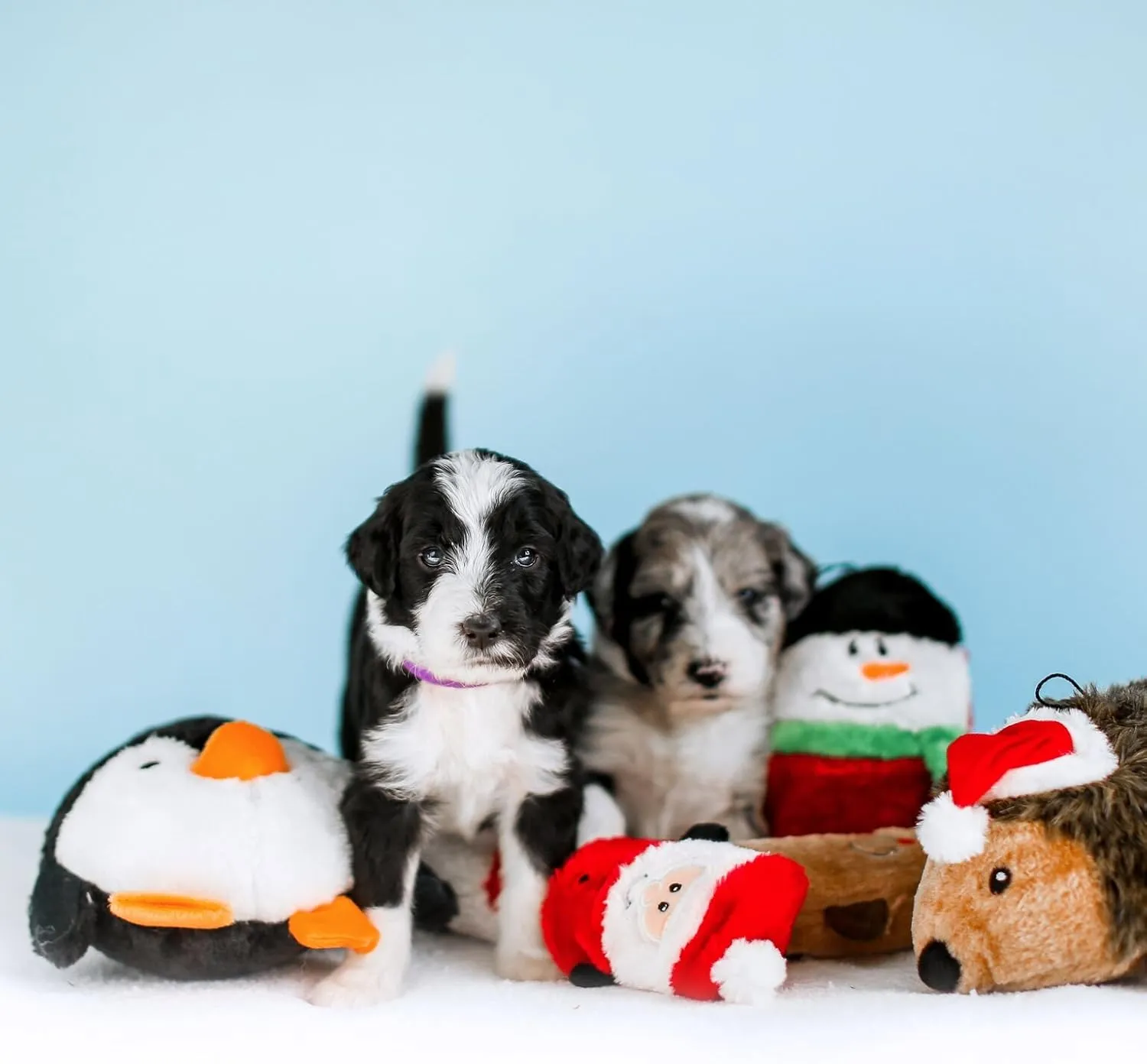 ZippyPaws Christmas Squeakie Buddies - Bulk 3 Pack of Seasonal Stuffing-Free Squeaky Dog Toys, No Stuffing Holiday Puppy Toys, Dog Stuff for Small & Medium Dogs - Santa Claus, Reindeer, & Snowman